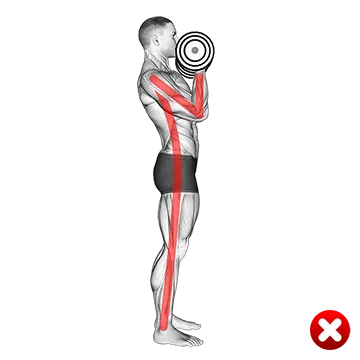 Biceps Curl - Arms Body (WRONG-RIGHT)