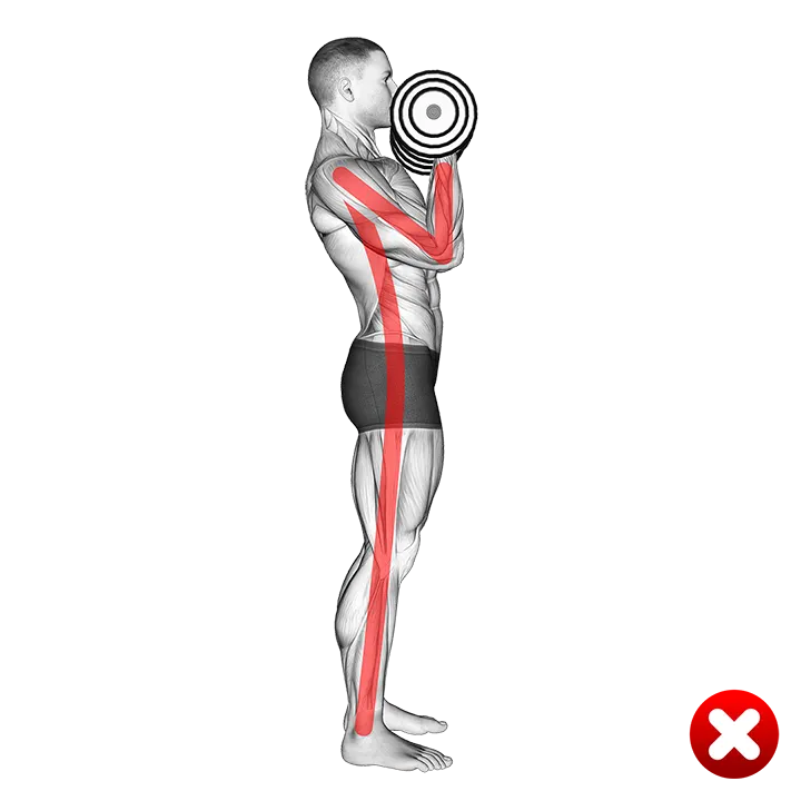 Biceps Curl - Arms Body (WRONG-RIGHT) exercise animation (Male)
