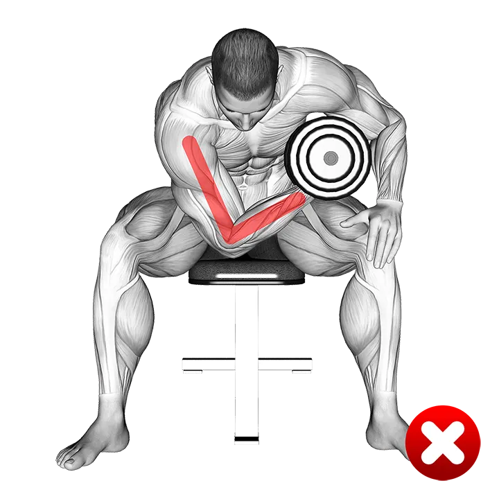 Concentration Curl - Arms (WRONG-RIGHT) exercise animation (Male)