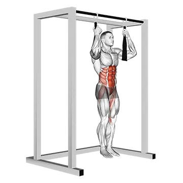 Arm slingers Hanging Bent Knee Legs
