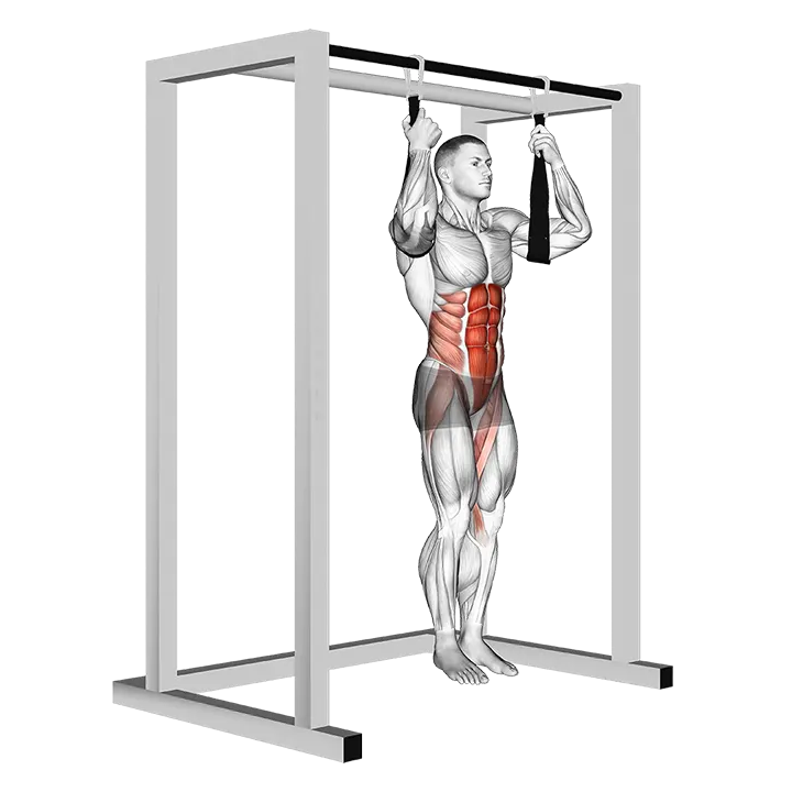 Arm slingers Hanging Bent Knee Legs exercise animation (Male)