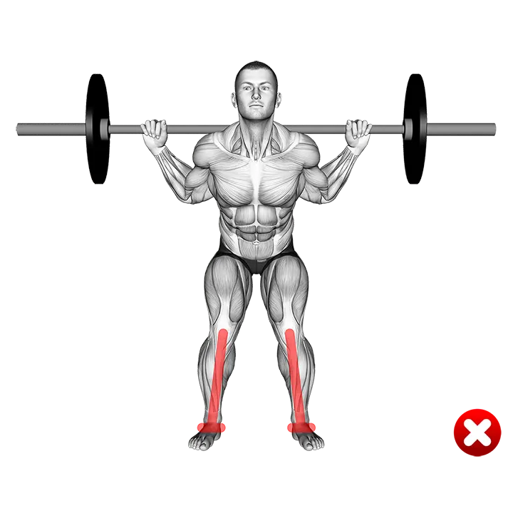 Barbell Squat - Knees - Middle position (WRONG-RIGHT) exercise animation (Male)