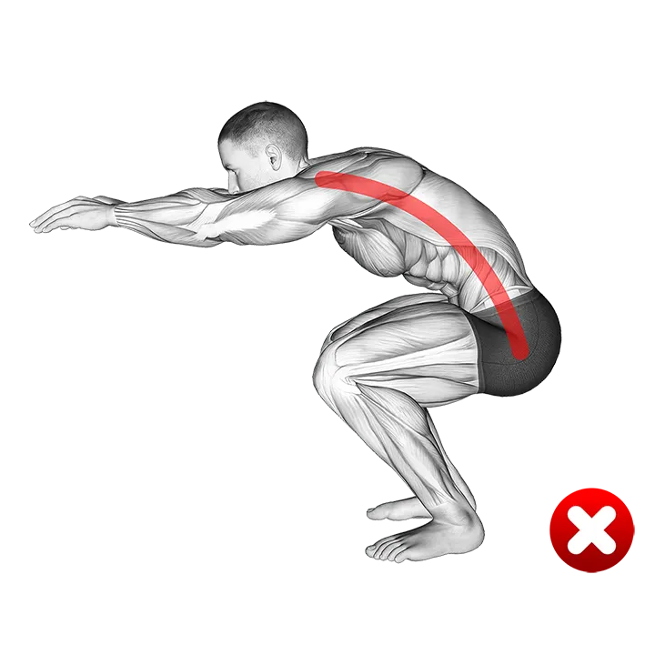 Squat - Back (WRONG-RIGHT) exercise animation (Male)