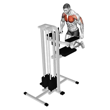 Assisted Wide-Grip Chest Dip (kneeling)