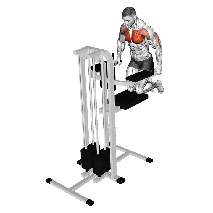 Assisted Wide-Grip Chest Dip (kneeling) exercise animation (Male)