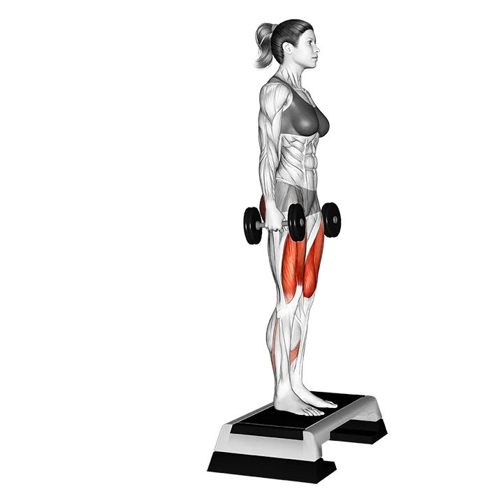 Dumbbell Rear Lunge from Step exercise animation (Female)