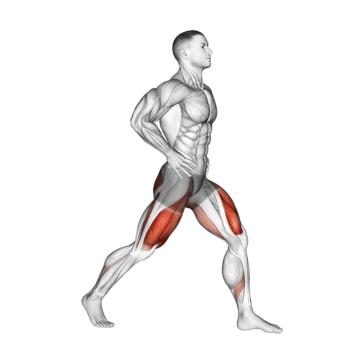 Split Squats exercise animation (Male)