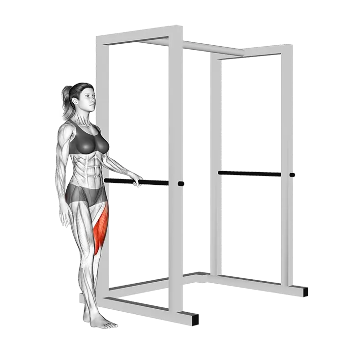 Single Leg Squat with Support exercise animation (Female)