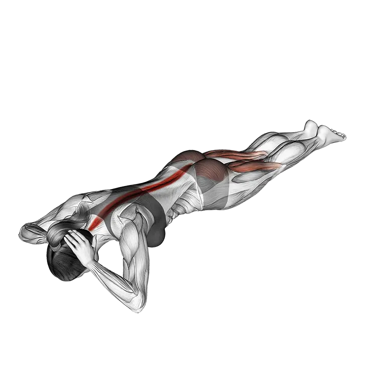 Floor Hyperextension exercise animation (Female)