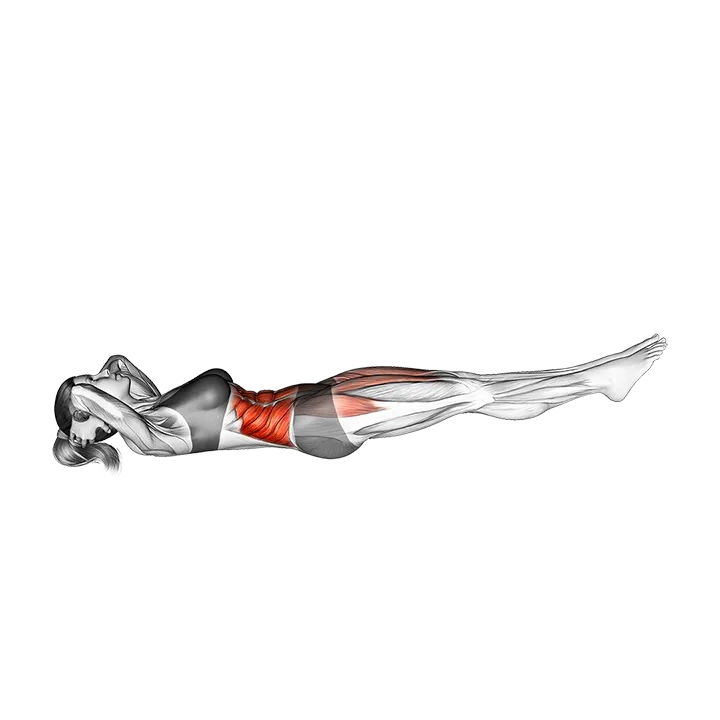 Air Bike (VERSION 2) exercise animation (Female)