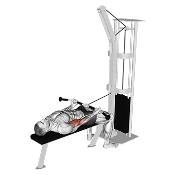 Cable Lying Biceps Curl (VERSION 2)