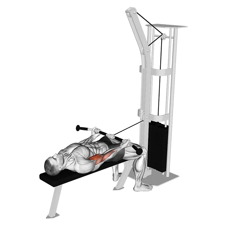 Cable Lying Biceps Curl (VERSION 2) exercise animation (Male)