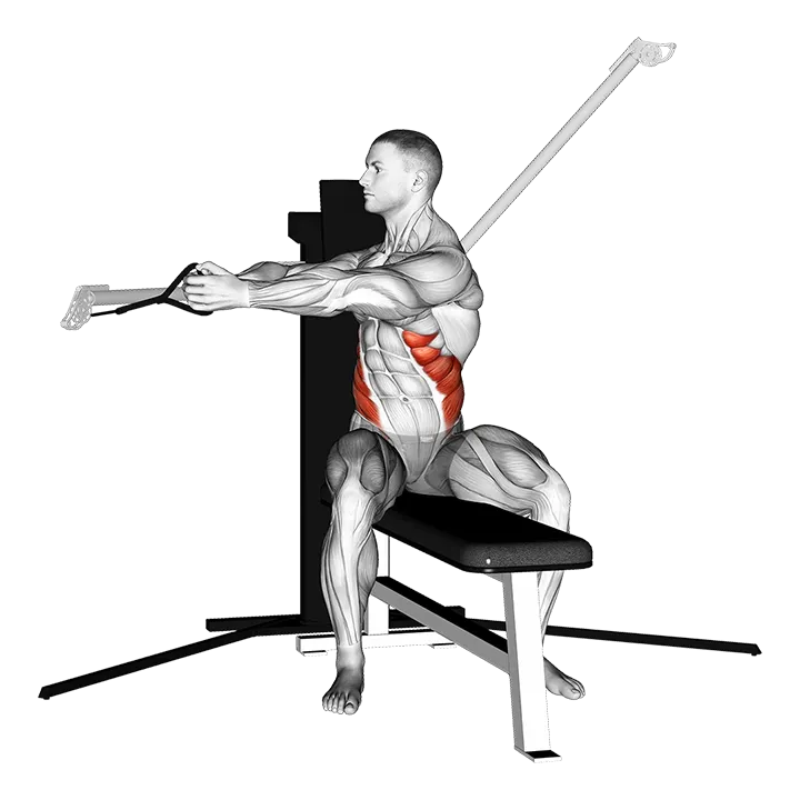 Cable Seated Twist exercise animation (Male)