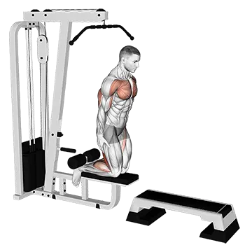 Inverse Leg Curl (on pull-up cable machine)