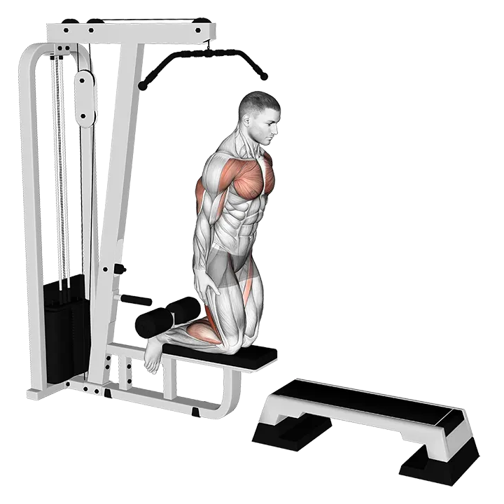Inverse Leg Curl (on pull-up cable machine) exercise animation (Male)