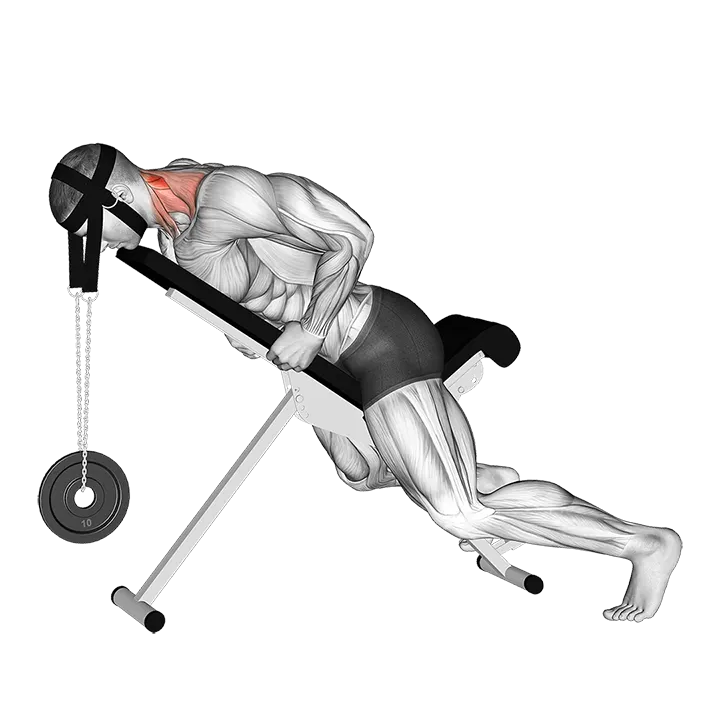Weighted Lying Neck Extension (with head harness) exercise animation (Male)
