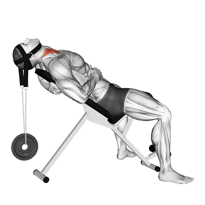 Weighted Lying Neck Flexion (with head harness) exercise animation (Male)