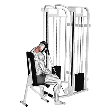 Cable Seated Neck Extension (with head harness)