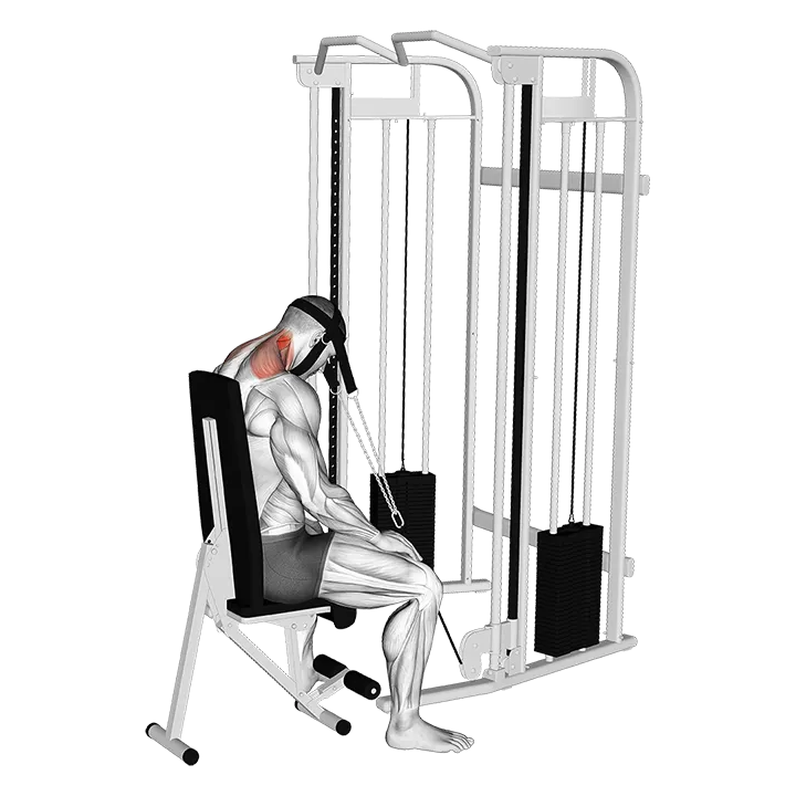 Cable Seated Neck Extension (with head harness) exercise animation (Male)