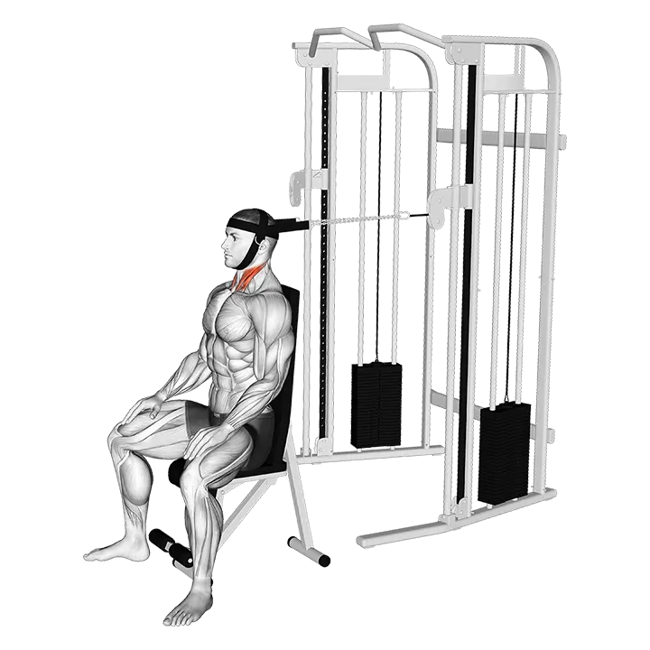 Cable Seated Neck Flexion (with head harness) exercise animation (Male)