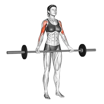 Barbell Wide-grip Drag Curl