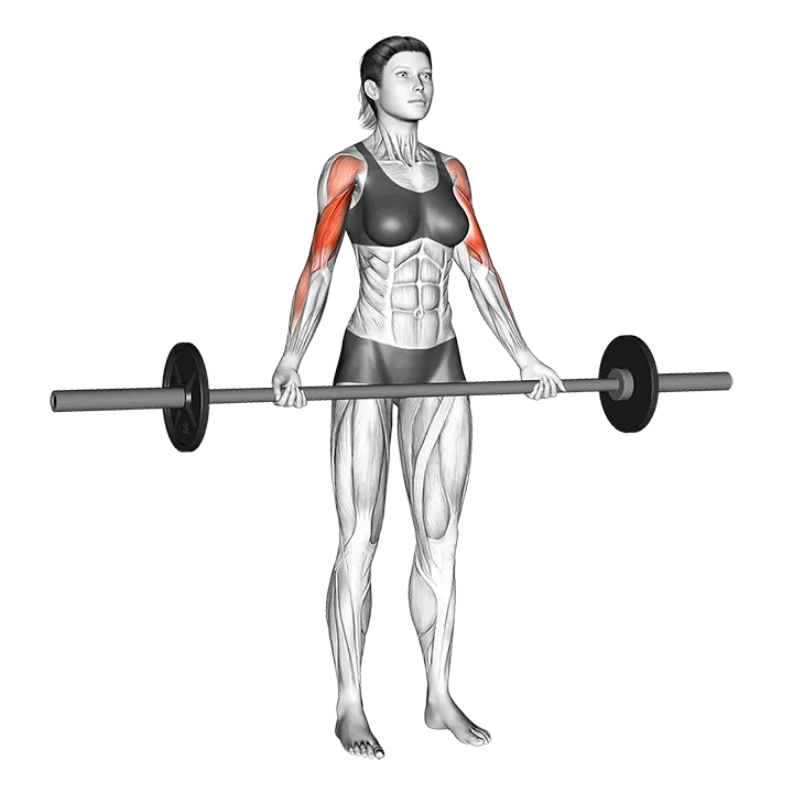 Barbell Wide-grip Drag Curl exercise animation (Female)