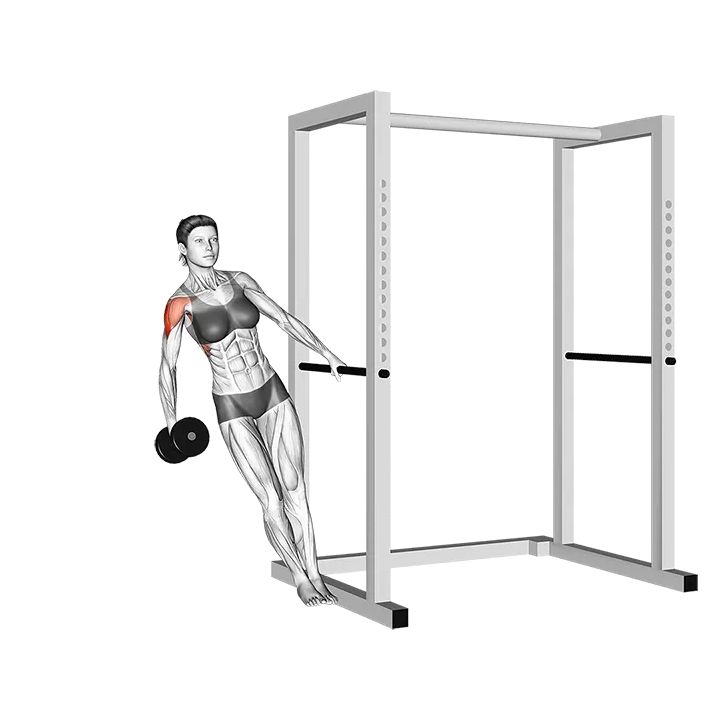 Dumbbell Single-arm Leaning Lateral Raise exercise animation (Female)