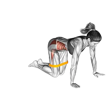 Resistance Band Bent Leg Side Kick (kneeling)