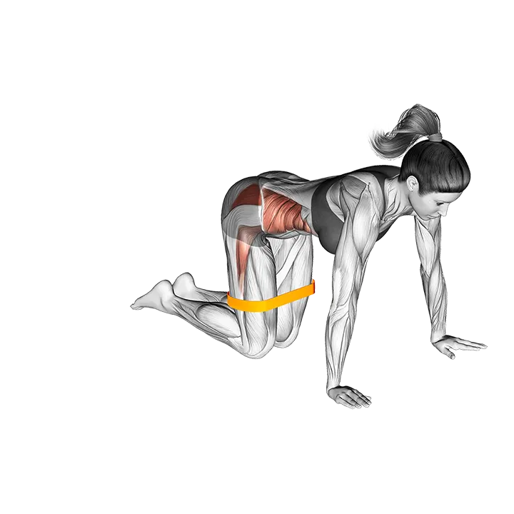 Resistance Band Bent Leg Side Kick (kneeling) exercise animation (Female)
