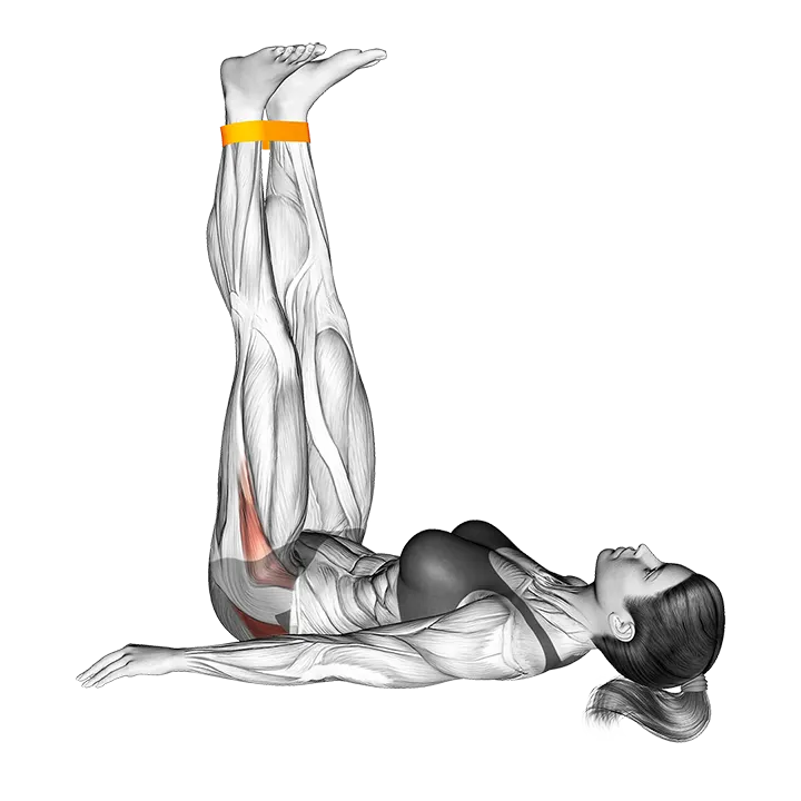 Resistance Band Lying Abduction exercise animation (Female)