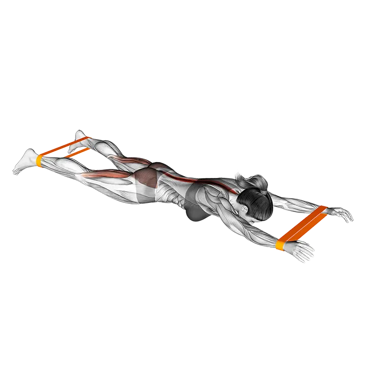 Resistance Band Floor Hyperextension exercise animation (Female)