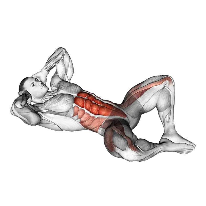 Frog Crunch exercise animation (Male)