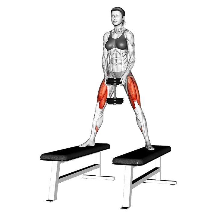 Dumbbell Sumo Squat off Benches exercise animation (Female)