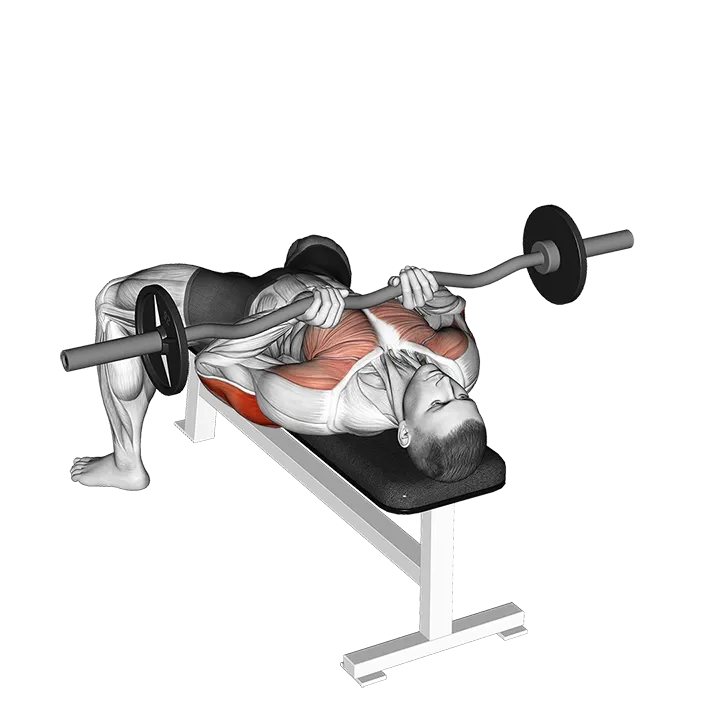 EZ-bar Close-Grip Bench Press exercise animation (Weiblich)