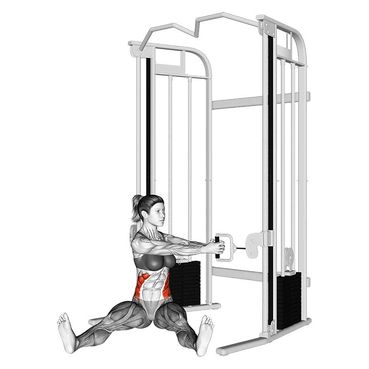 Cable Seated Twist on Floor exercise animation (Female)