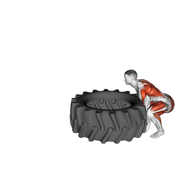 Tire Flip exercise animation (Male)