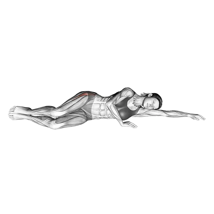 Side Lying Clam exercise animation (Female)