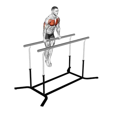 Chest Dip on Straight Bar