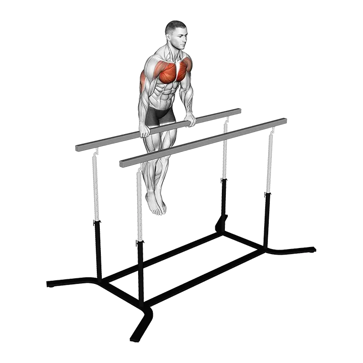 Chest Dip on Straight Bar exercise animation (Male)