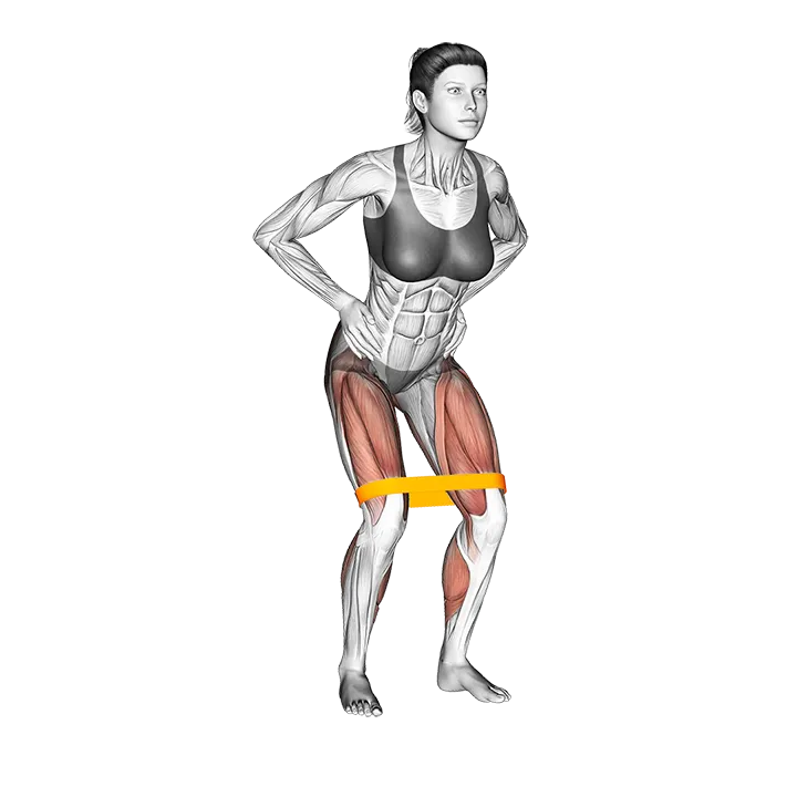 Resistance Band Toe Touch exercise animation (Female)