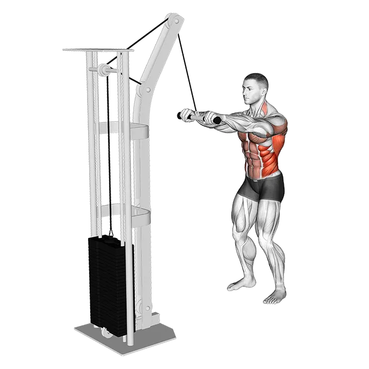 Cable Thibaudeau Kayak Row exercise animation (Männlich)
