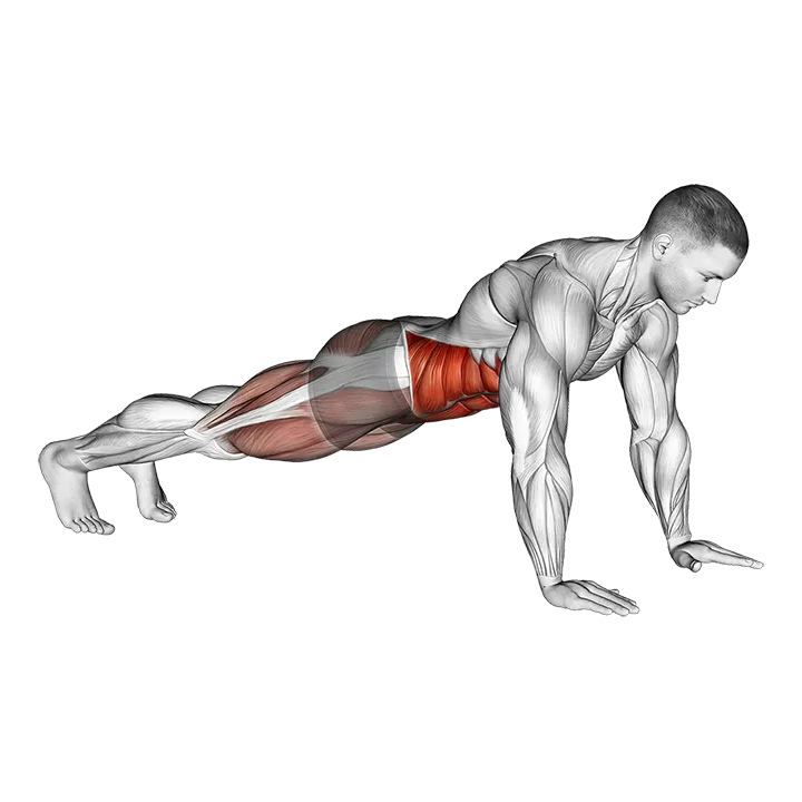 Bridge - Mountain Climber (Cross Body) exercise animation (Male)