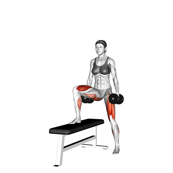 Dumbbell Lateral Step-Up exercise animation (Female)