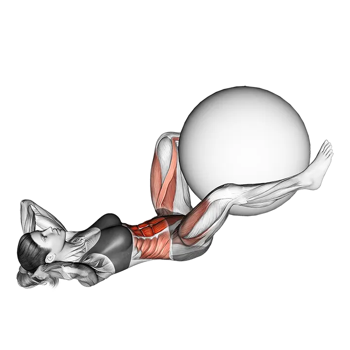 Exercise Ball Frog Crunch exercise animation (Female)