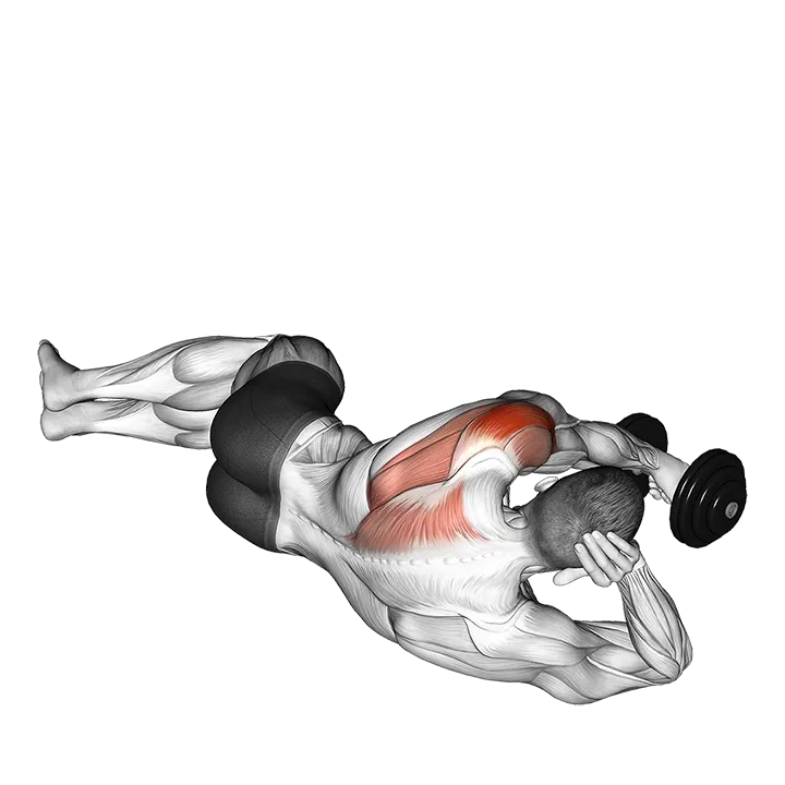 Dumbbell Lying on Floor Rear Delt Raise exercise animation (Male)