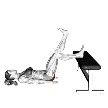 Glute Bridge One Leg on Bench
