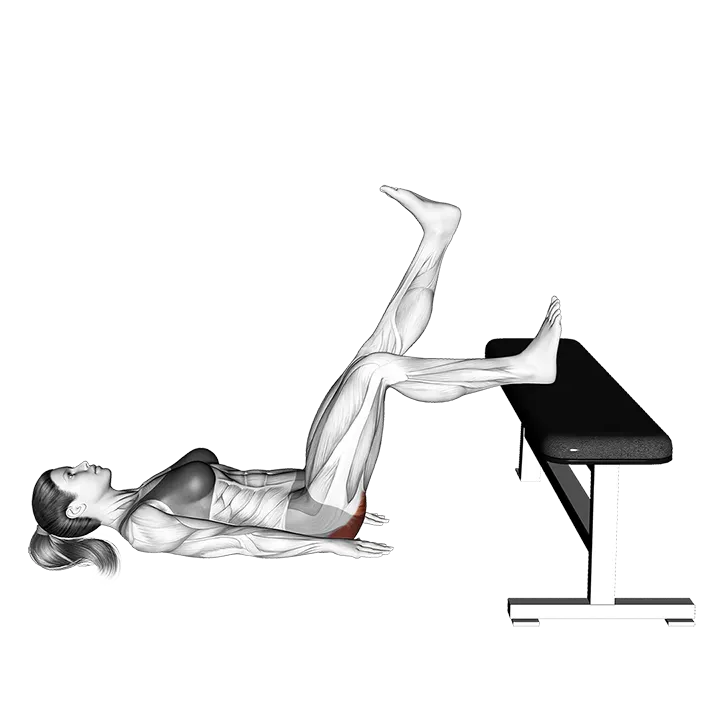 Glute Bridge One Leg on Bench exercise animation (Female)
