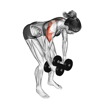 Dumbbell Rear Delt Fly