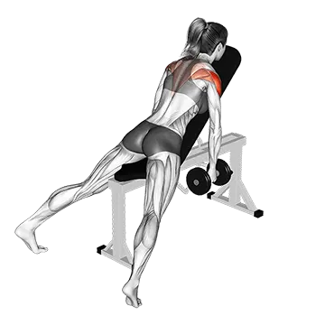 Dumbbell Incline Rear Fly