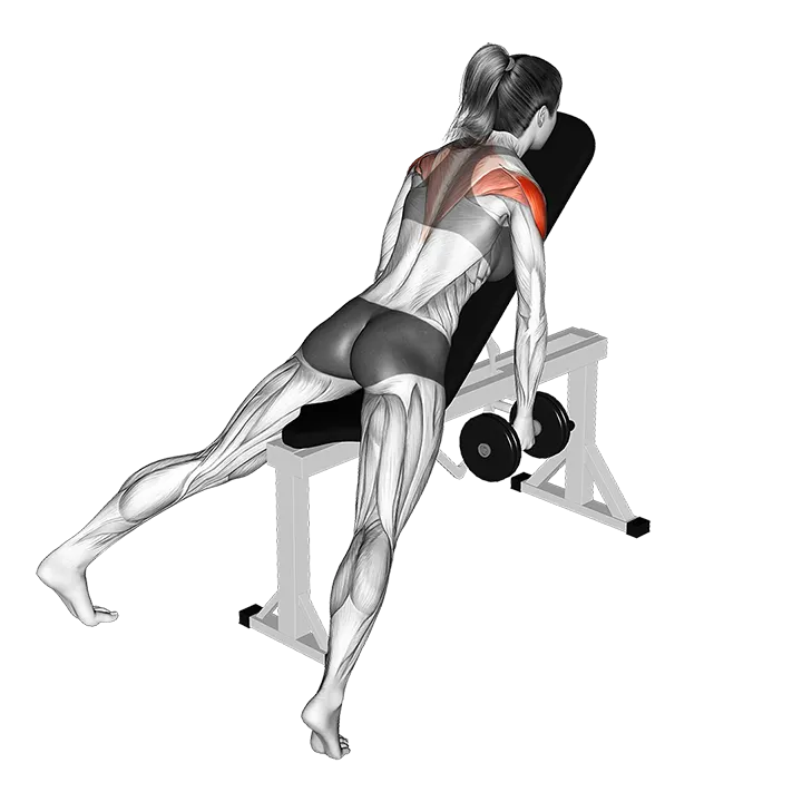 Dumbbell Incline Rear Fly exercise animation (Female)